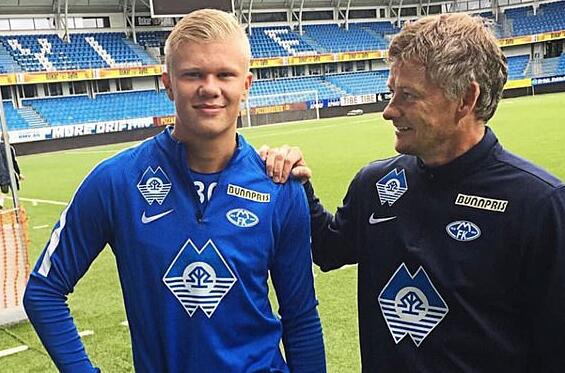 强化自研与 强化自研与